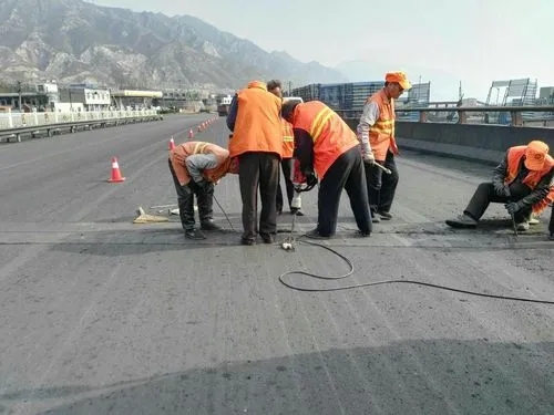 仙居道路桥梁病害治理